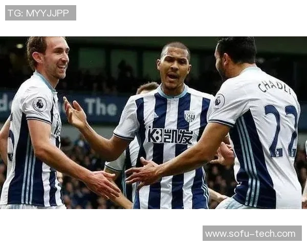 足球十四场精彩对决解析与投注策略分享助你赢得更多收益